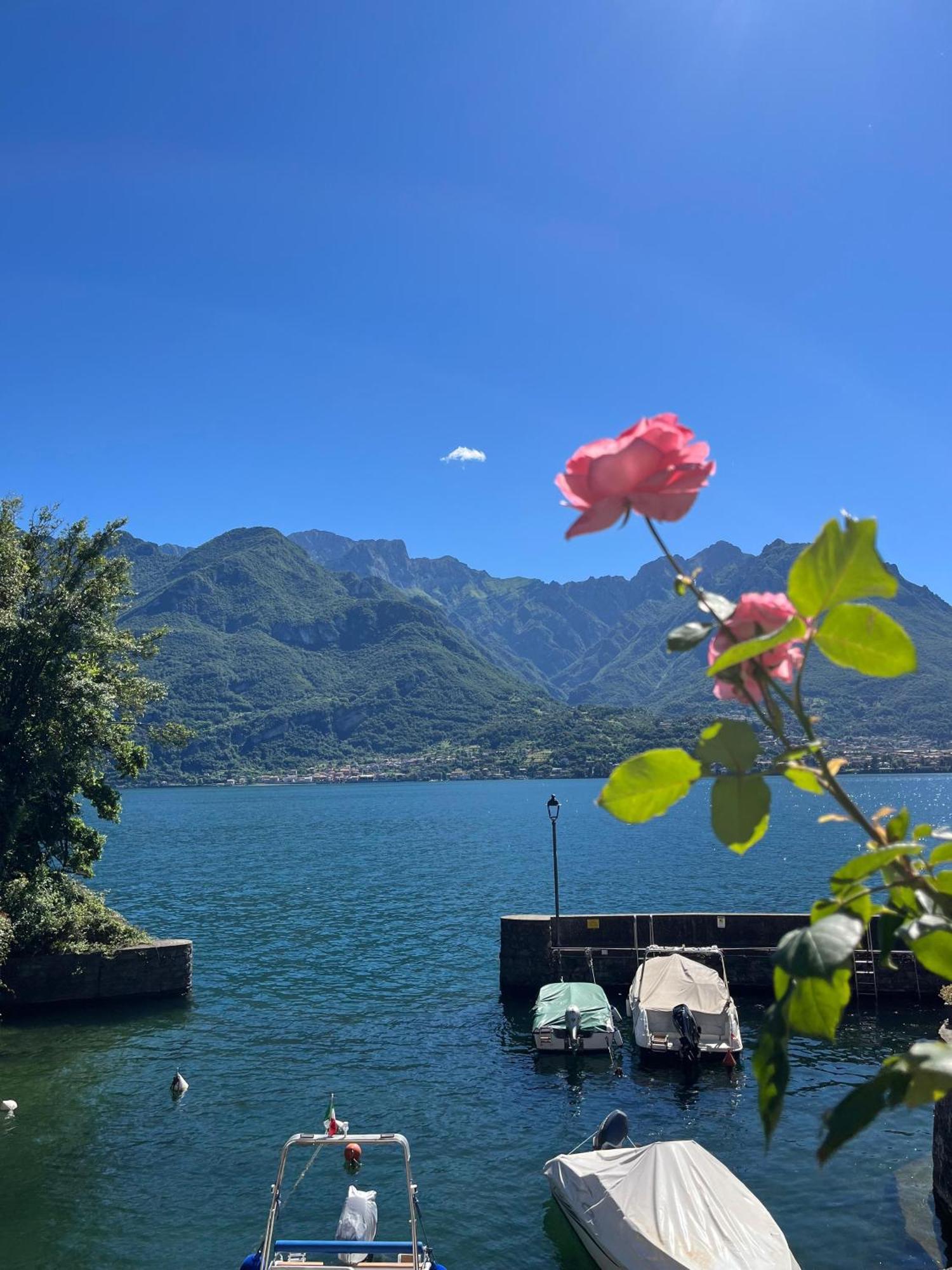 Domus Graziana - Lake Front Oliveto Lario Zewnętrze zdjęcie